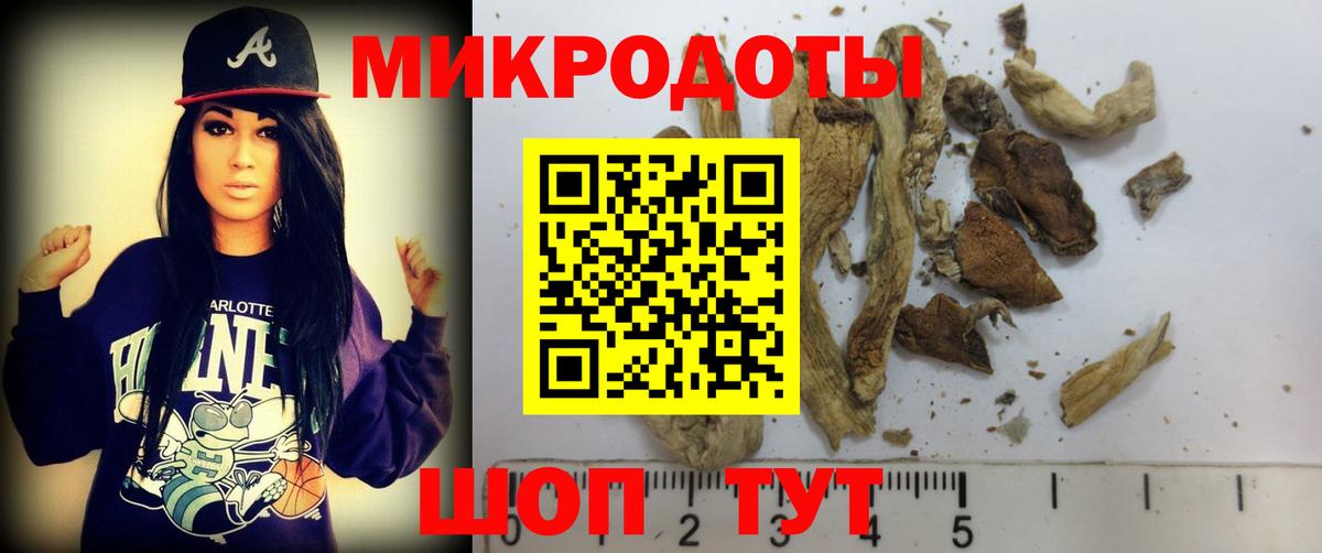 Псилоцибиновые грибы Magic Shrooms  где продают   Апатиты  Вход с VPN 