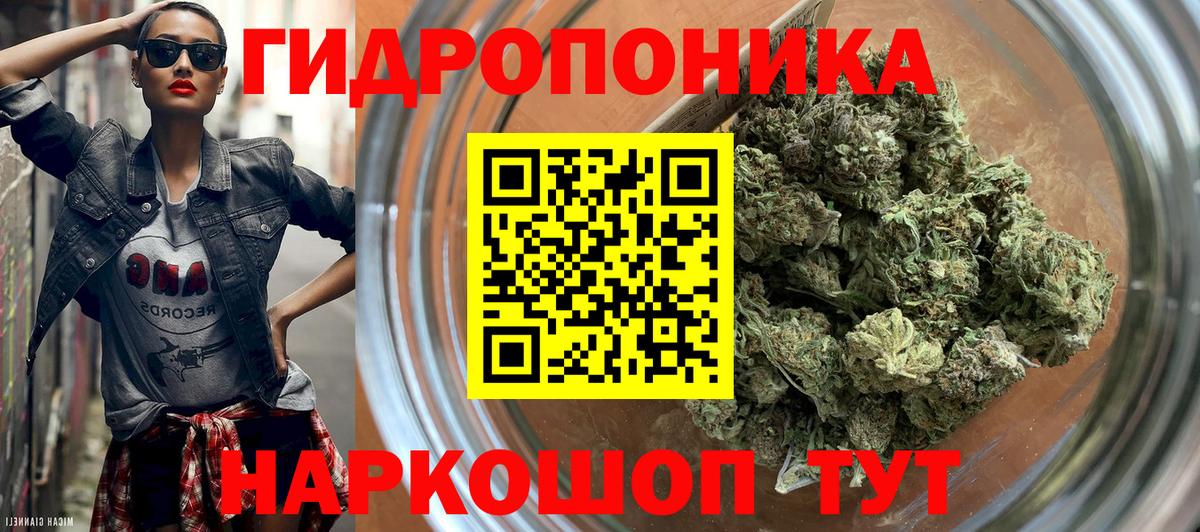 Бошки Шишки конопля  Марихуана AK-47  Апатиты  Вход с VPN  Канабис сатива 